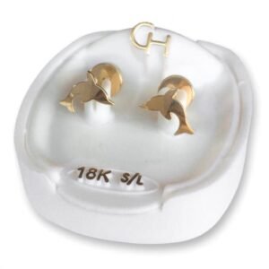 753 CH Delfin (chico)